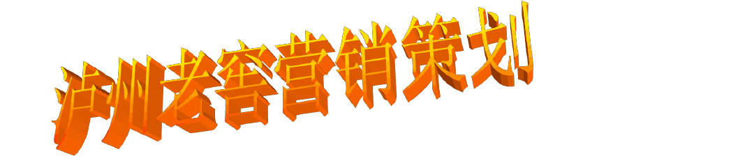 泸州老窖市场营销策划方案